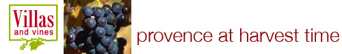 tour provence with betty rosbottom
