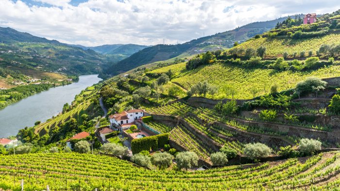 Douro_valley2-700x394-1
